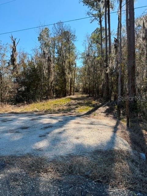 155TH WAY, STARKE, FL — photo 21