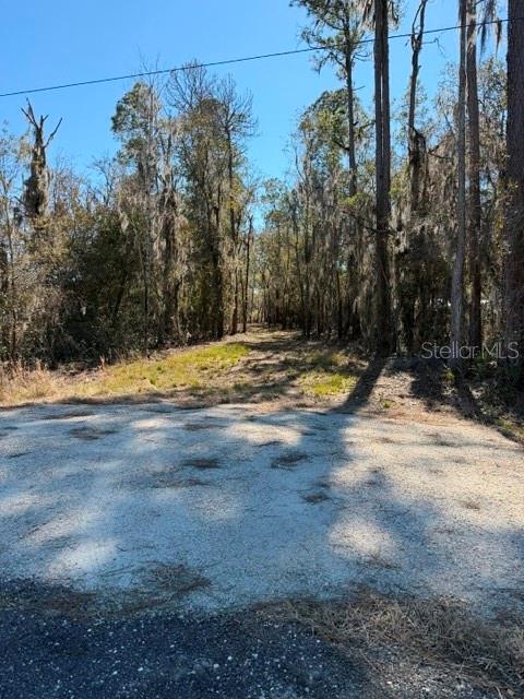 155TH WAY, STARKE, FL — photo 22