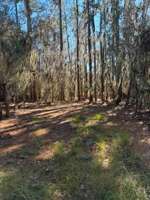 155TH WAY, STARKE, FL — photo 26
