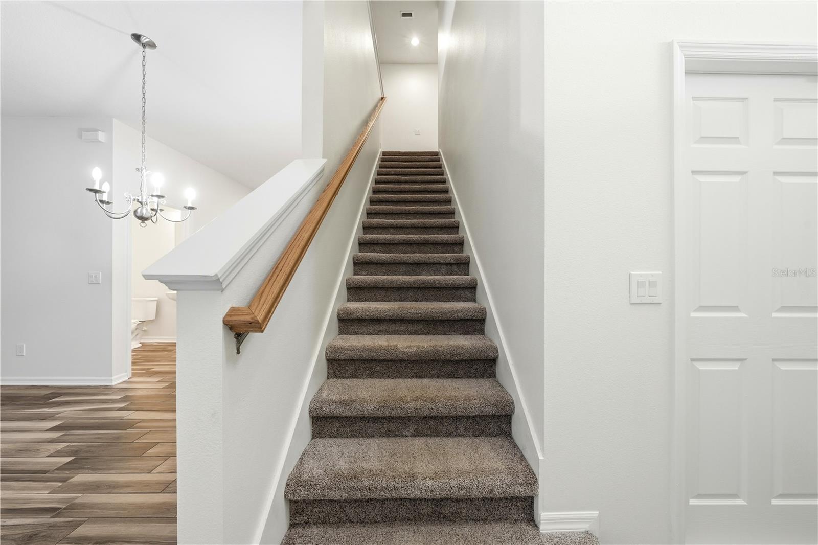 17436 CHATEAU PINE WAY, CLERMONT, FL — photo 16