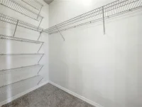 17436 CHATEAU PINE WAY — photo 29