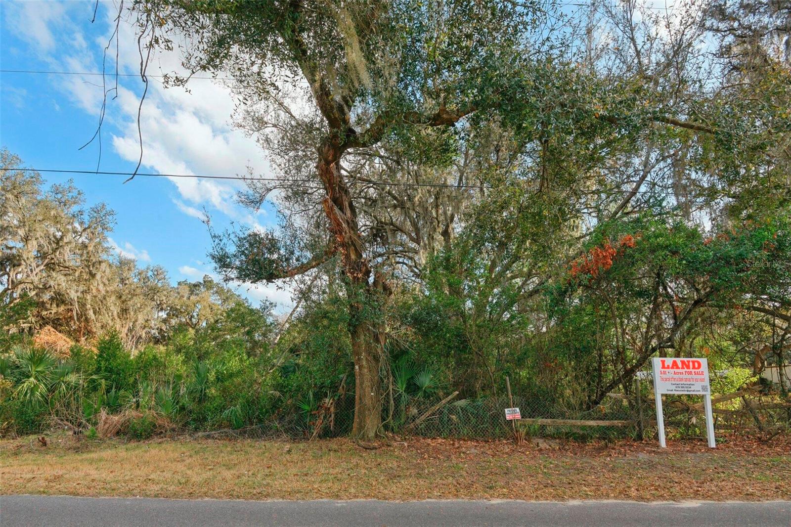 11119 BESSIE DIX RD, SEFFNER, FL — photo 3