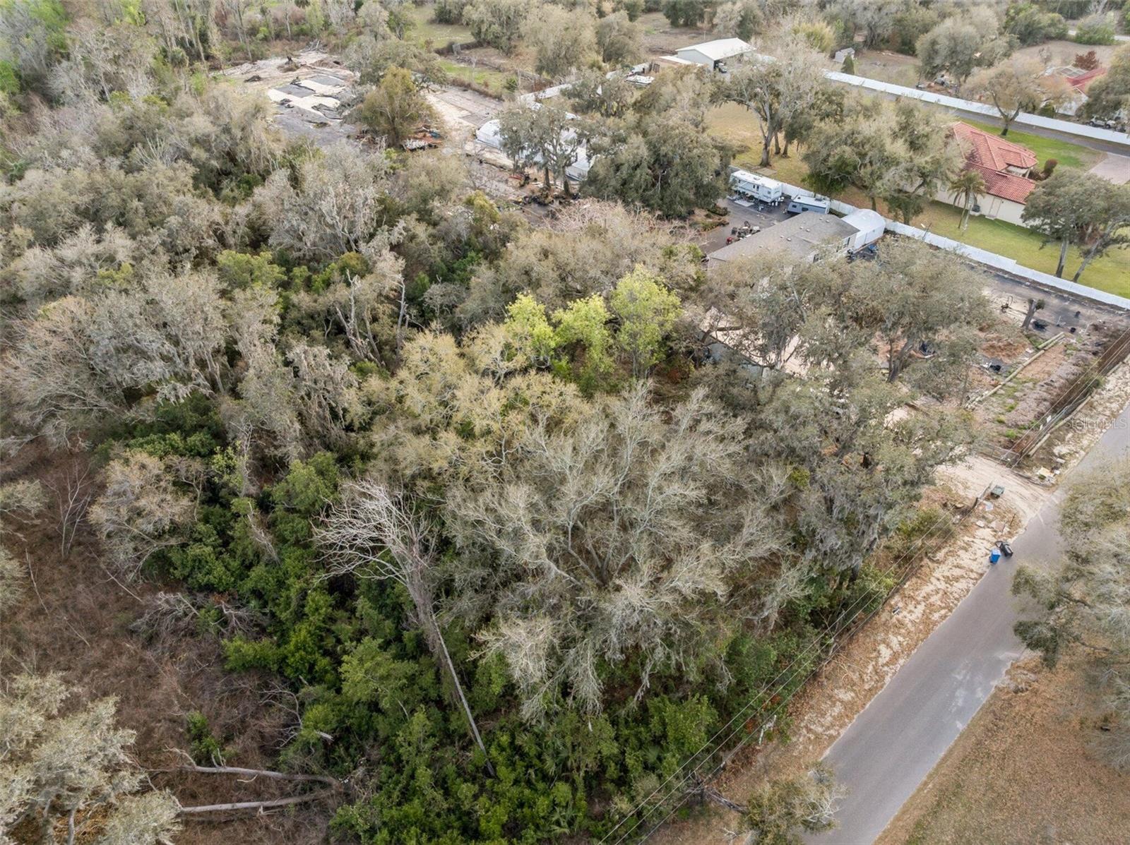 11119 BESSIE DIX RD, SEFFNER, FL — photo 8