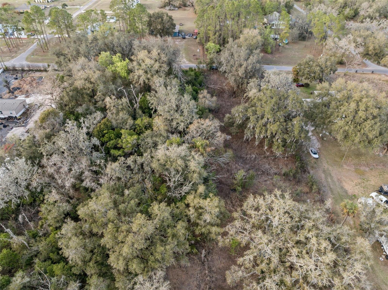11119 BESSIE DIX RD, SEFFNER, FL — photo 9