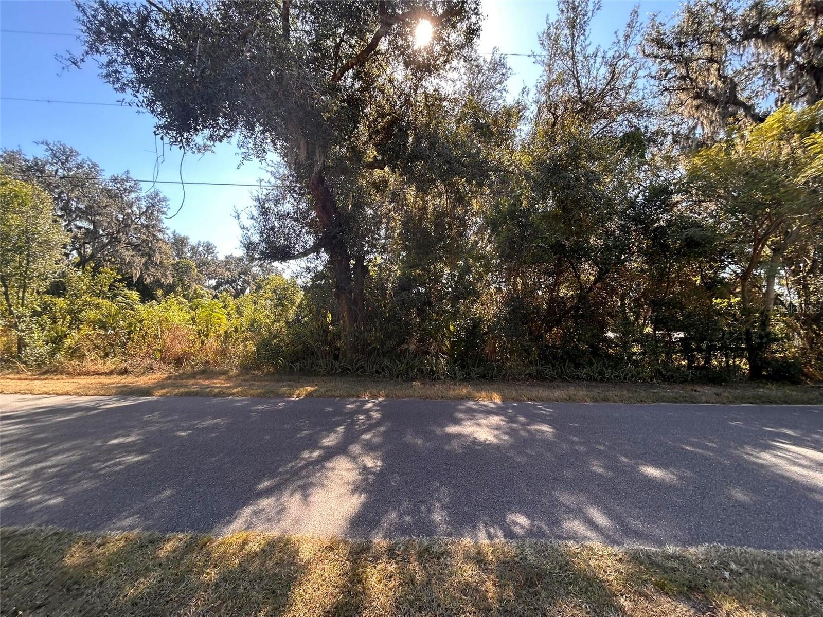 11119 BESSIE DIX RD, SEFFNER, FL — photo 12