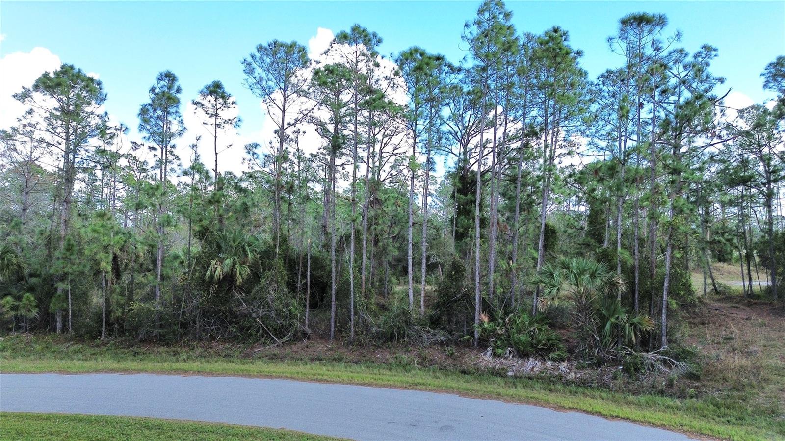 Lots 14 and 15, LATOUR AVE, NORTH PORT, FL — photo 3