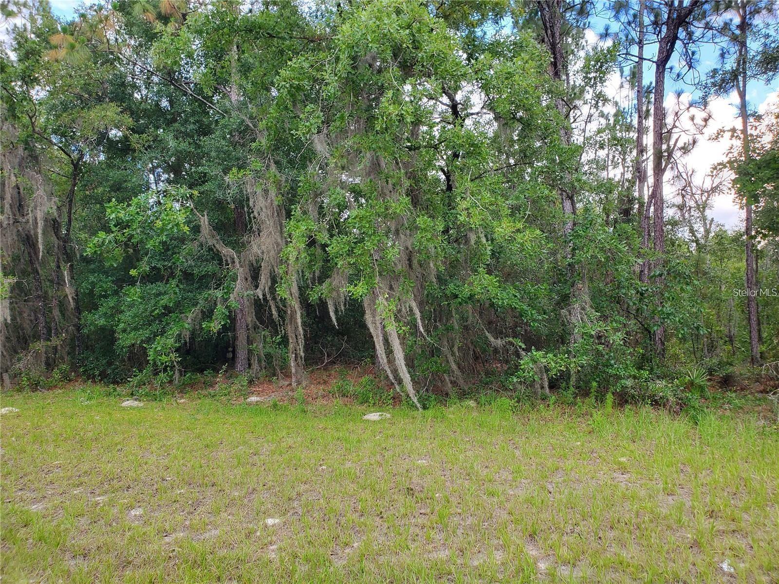 8650 SW 138 LN, OCALA, FL