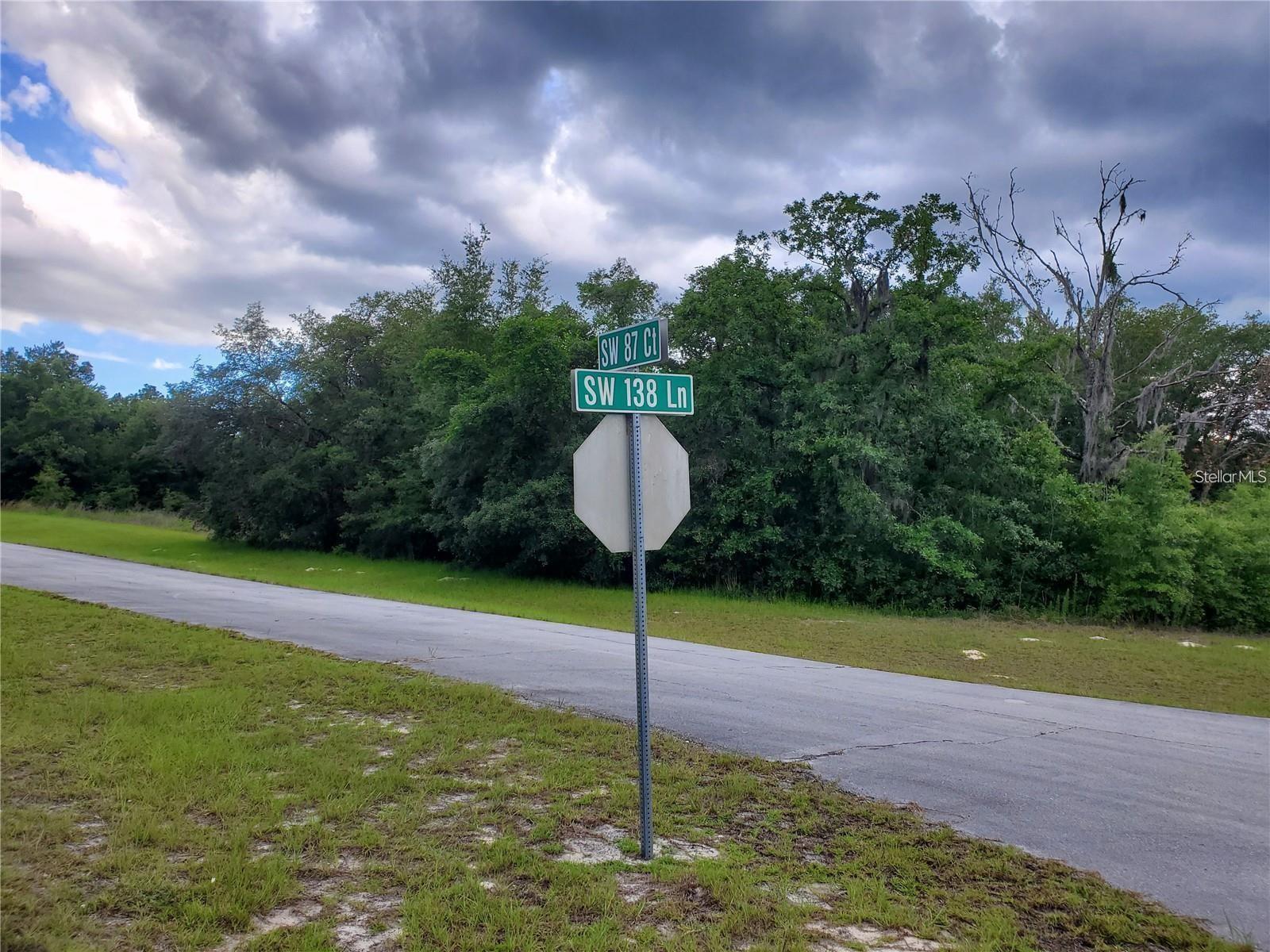 8650 SW 138 LN, OCALA, FL — photo 2