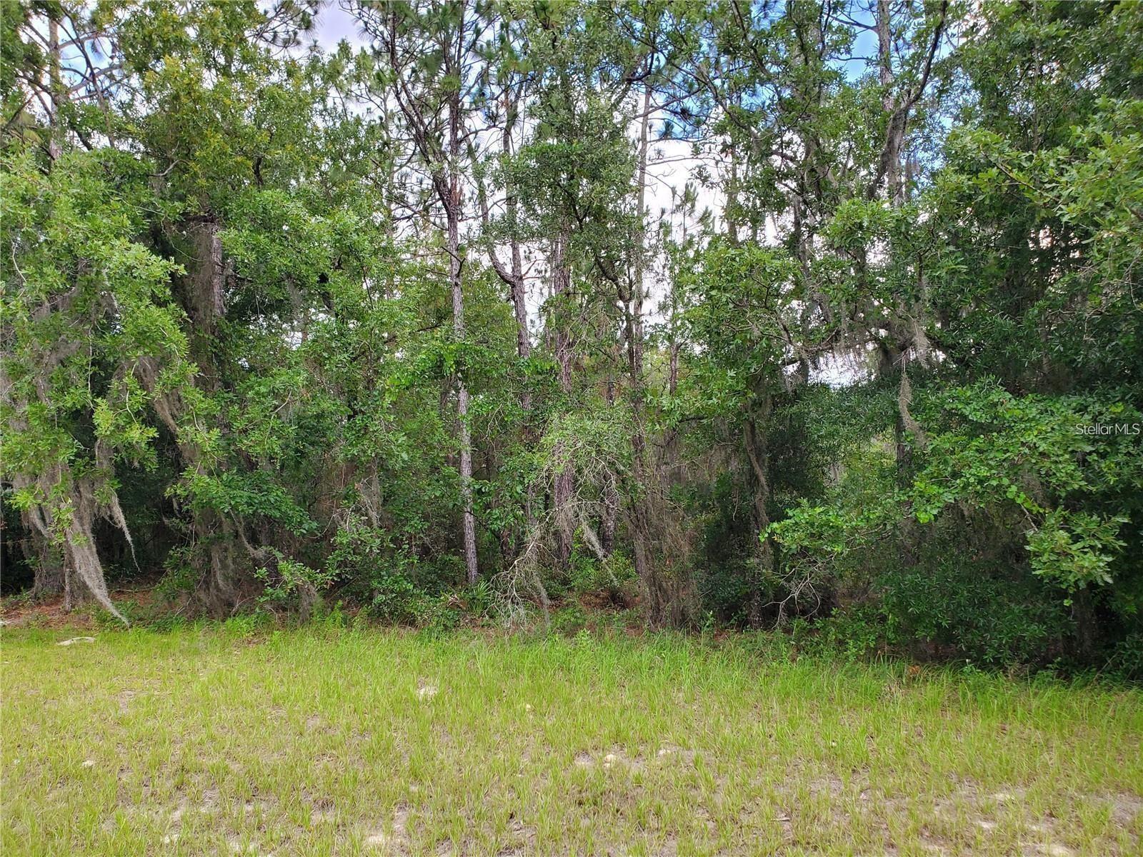 8650 SW 138 LN, OCALA, FL — photo 3