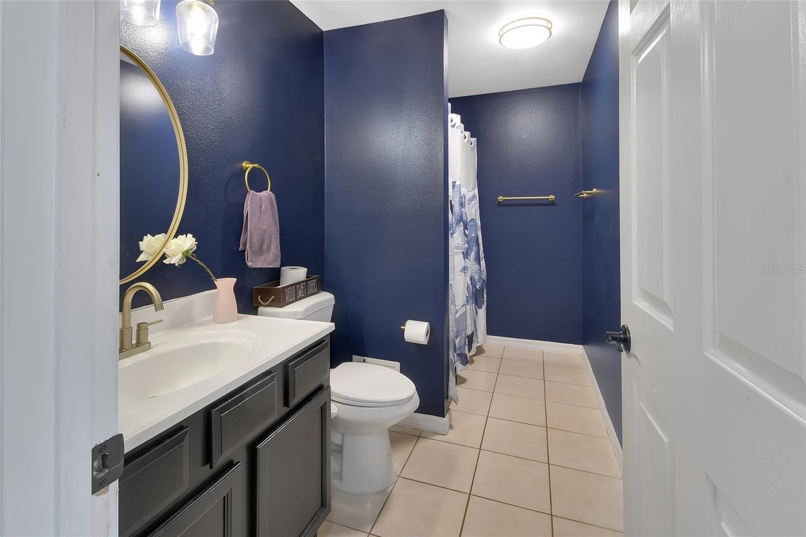 828 WHITE BIRCH CT, ORANGE CITY, FL — photo 21