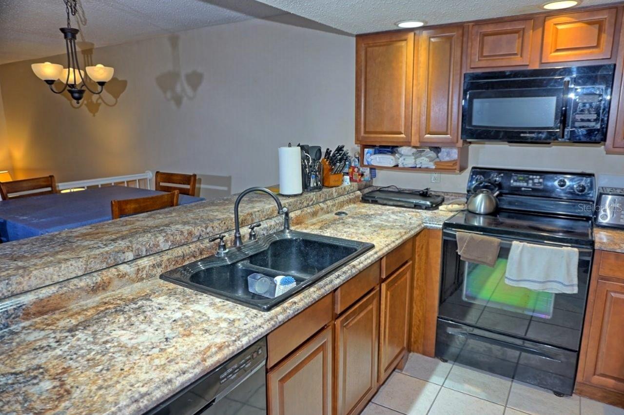 2051 VISTA DEL SOL CIR #202, LUTZ, FL — photo 5