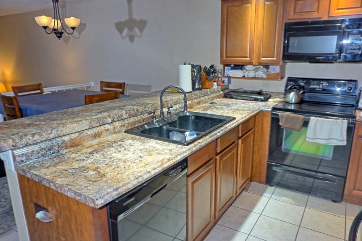 2051 VISTA DEL SOL CIR #202, LUTZ, FL — photo 6