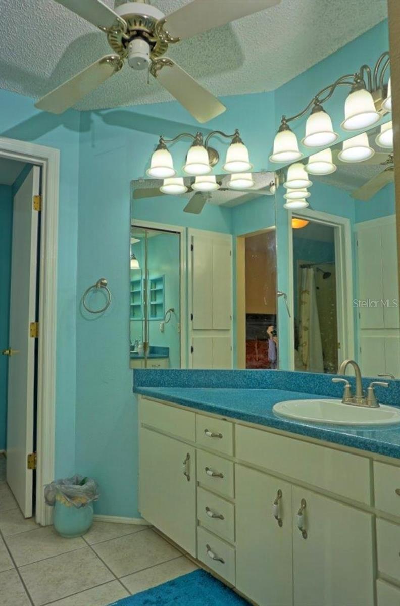 2051 VISTA DEL SOL CIR #202, LUTZ, FL — photo 19