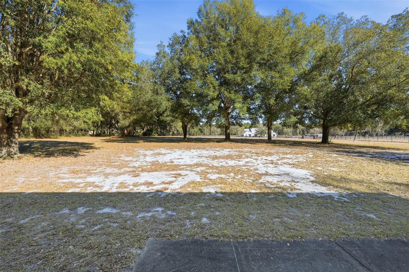 36841 RESERVE DR, EUSTIS, FL — photo 98