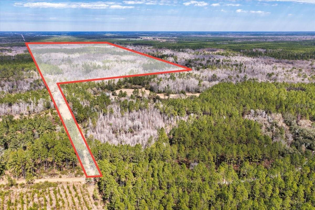 60 Acres NW CLYATT ROAD, CHIEFLAND, FL