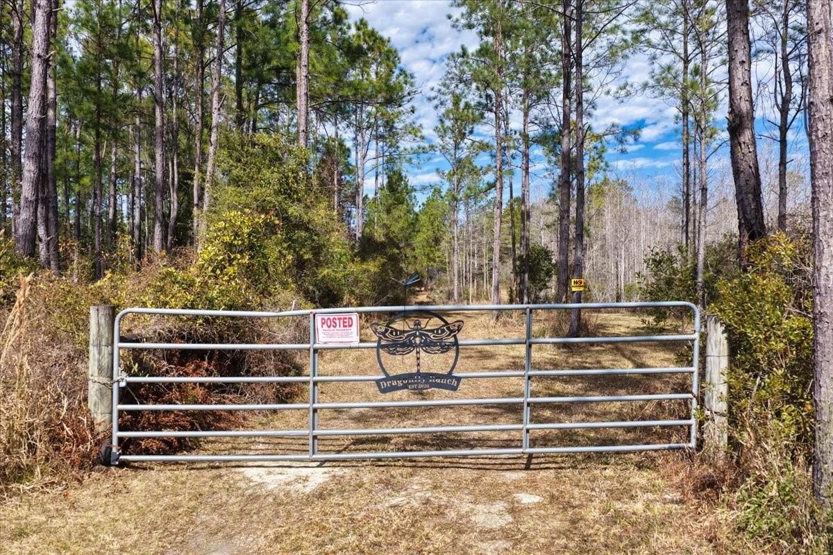 60 Acres NW CLYATT ROAD, CHIEFLAND, FL — photo 2
