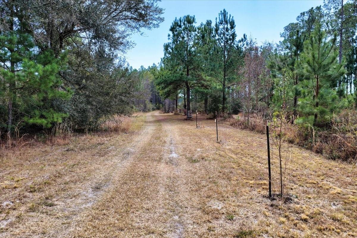 60 Acres NW CLYATT ROAD, CHIEFLAND, FL — photo 4