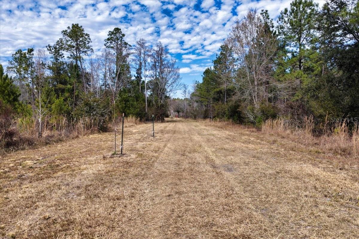 60 Acres NW CLYATT ROAD, CHIEFLAND, FL — photo 8
