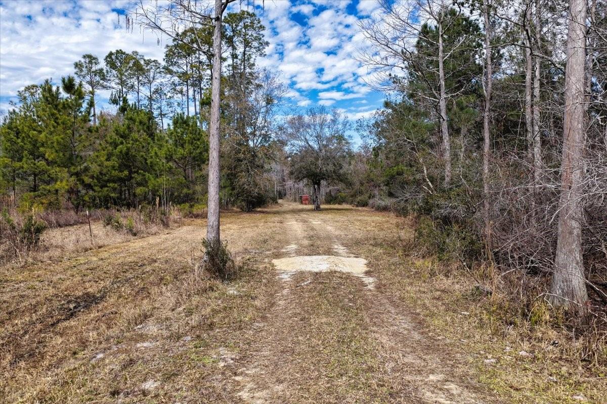 60 Acres NW CLYATT ROAD, CHIEFLAND, FL — photo 9