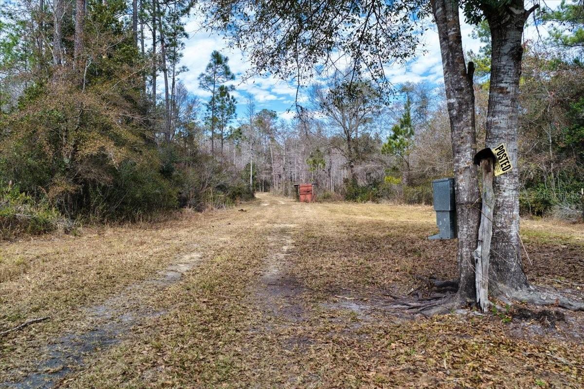 60 Acres NW CLYATT ROAD, CHIEFLAND, FL — photo 10