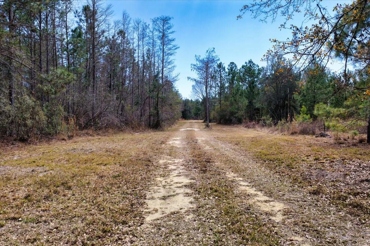 60 Acres NW CLYATT ROAD, CHIEFLAND, FL — photo 11