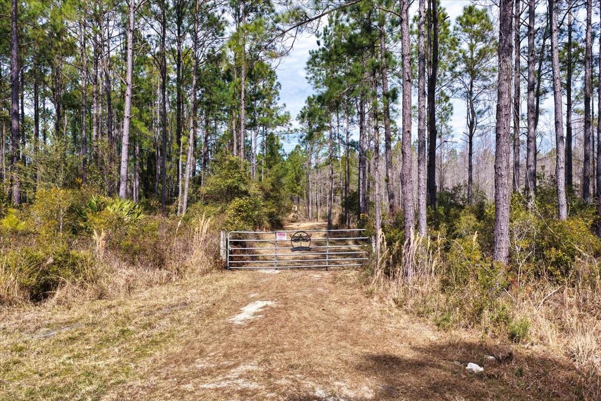 60 Acres NW CLYATT ROAD, CHIEFLAND, FL — photo 13