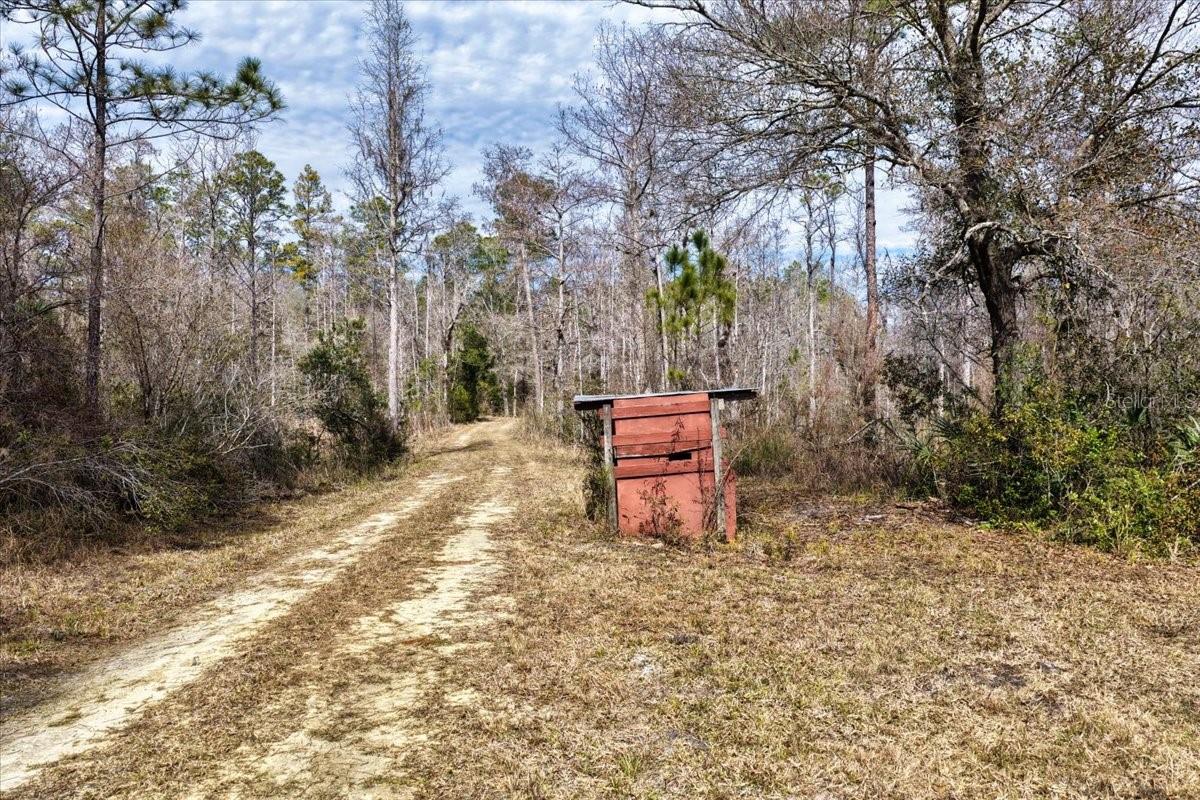 60 Acres NW CLYATT ROAD, CHIEFLAND, FL — photo 14
