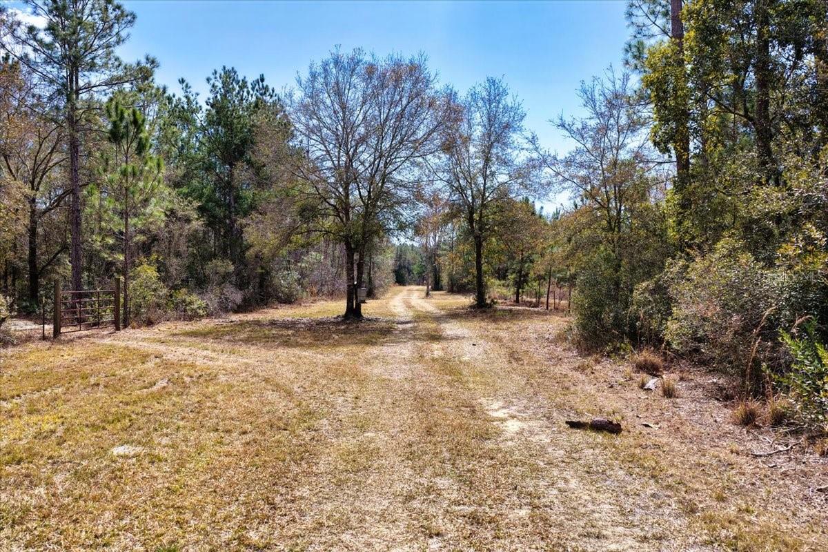 60 Acres NW CLYATT ROAD, CHIEFLAND, FL — photo 15