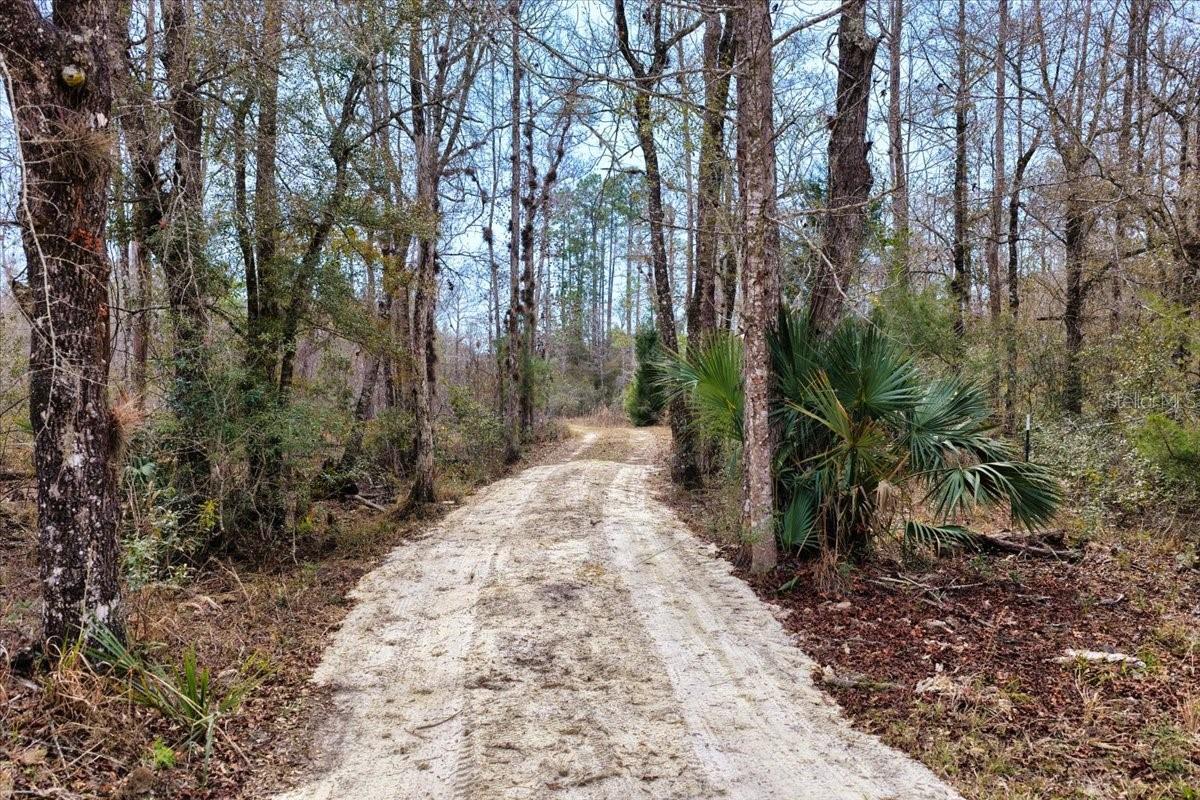 60 Acres NW CLYATT ROAD, CHIEFLAND, FL — photo 16
