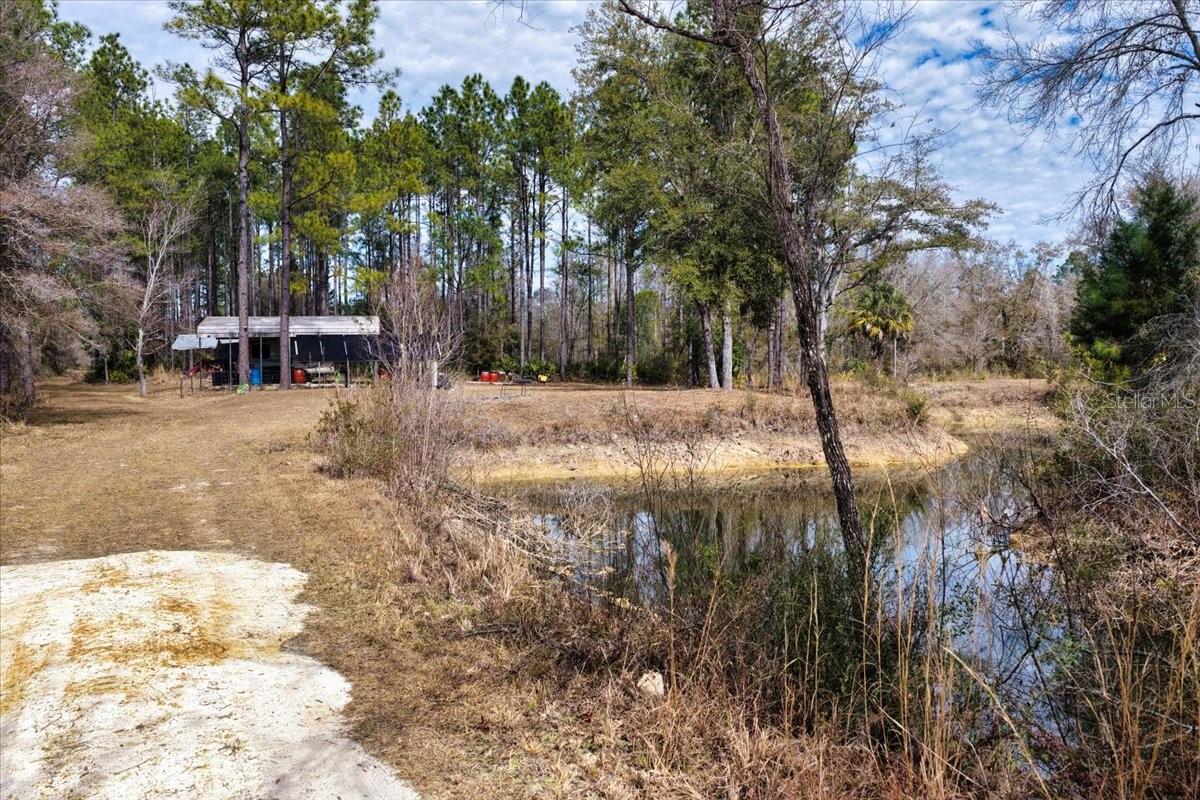 60 Acres NW CLYATT ROAD, CHIEFLAND, FL — photo 17