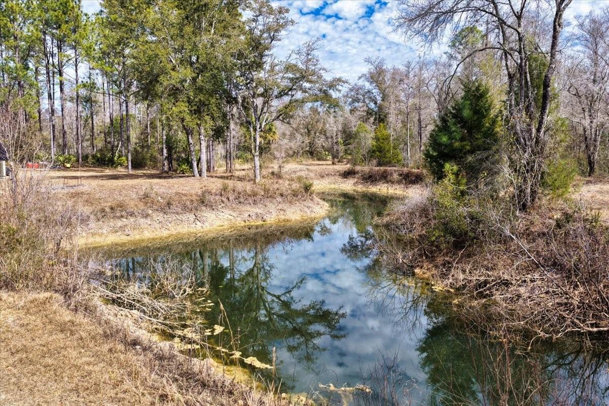 60 Acres NW CLYATT ROAD, CHIEFLAND, FL — photo 18