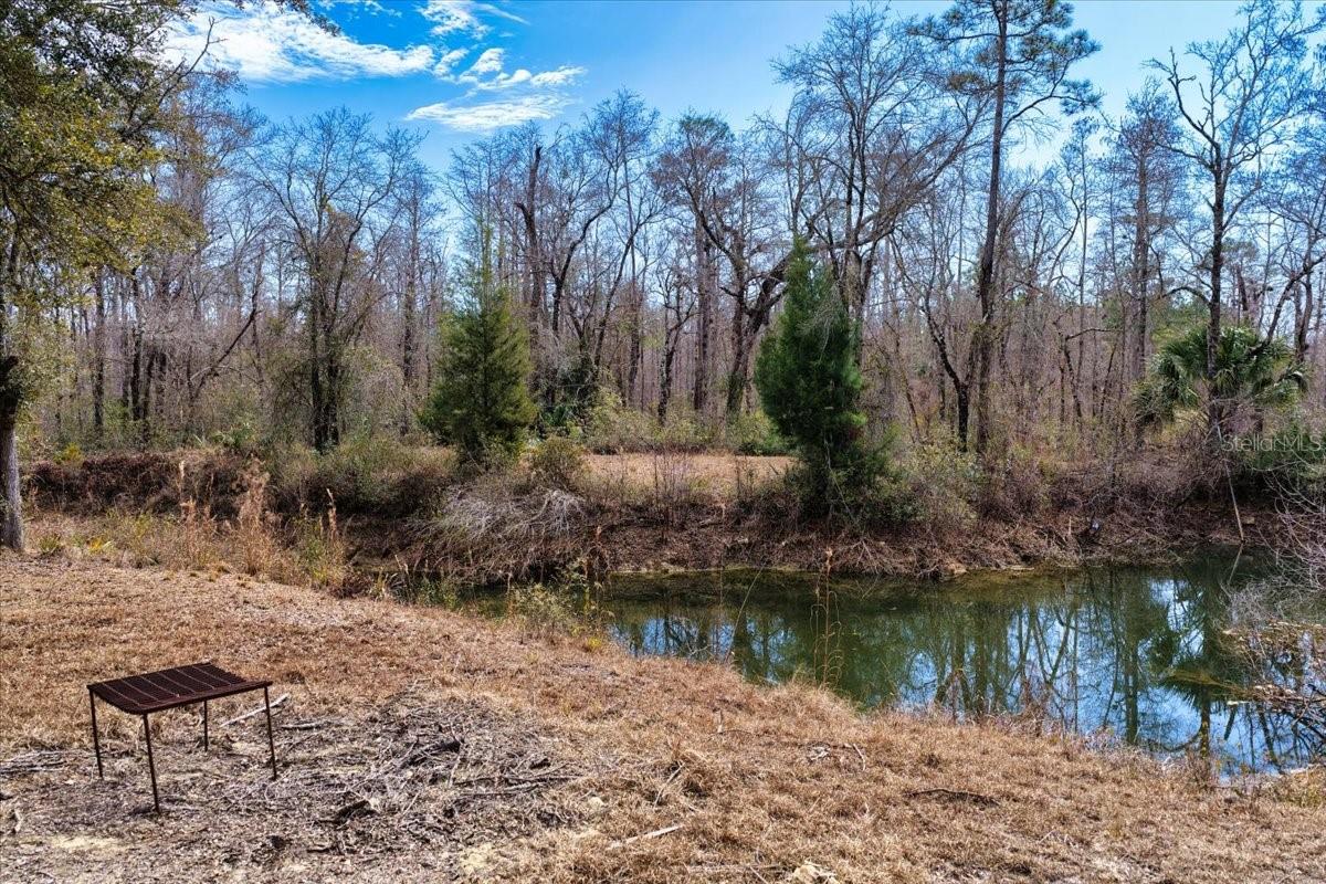 60 Acres NW CLYATT ROAD, CHIEFLAND, FL — photo 21