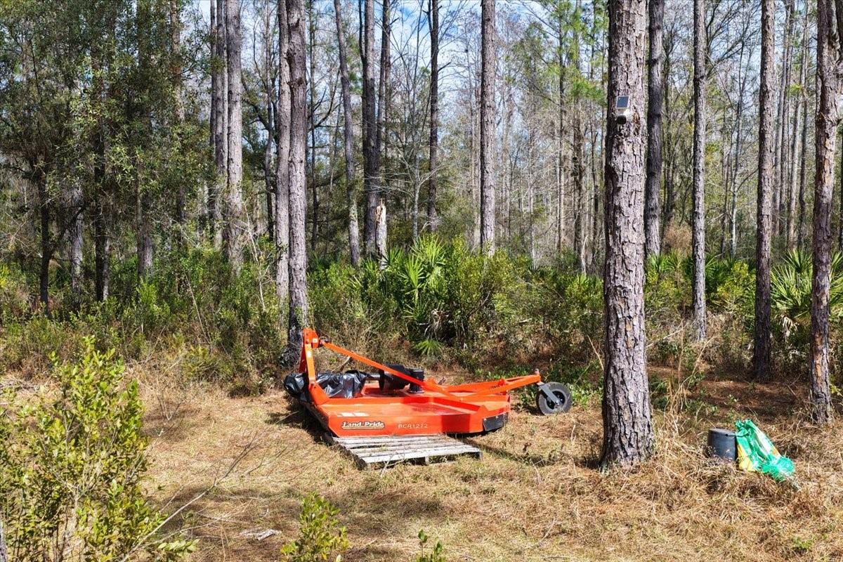 60 Acres NW CLYATT ROAD, CHIEFLAND, FL — photo 29