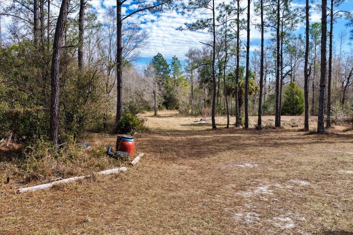 60 Acres NW CLYATT ROAD, CHIEFLAND, FL — photo 30