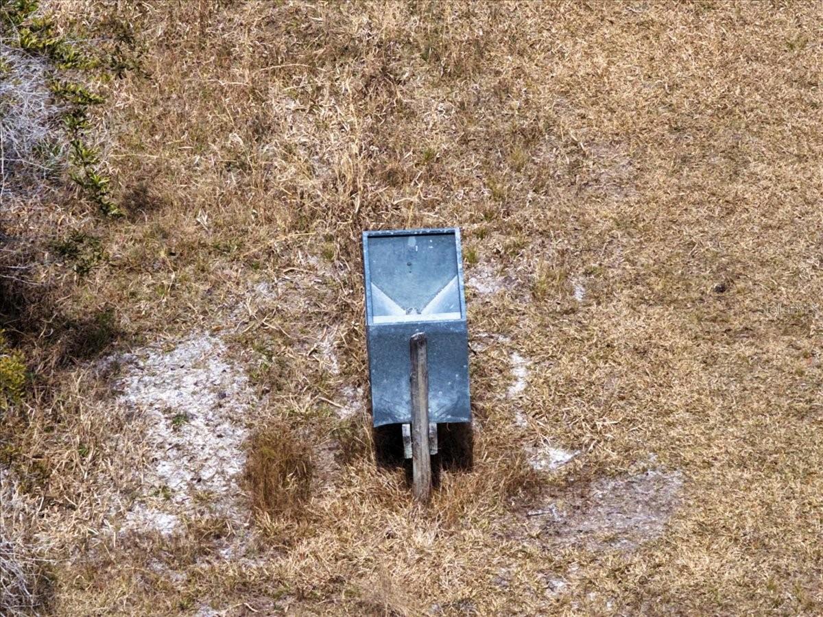 60 Acres NW CLYATT ROAD, CHIEFLAND, FL — photo 36