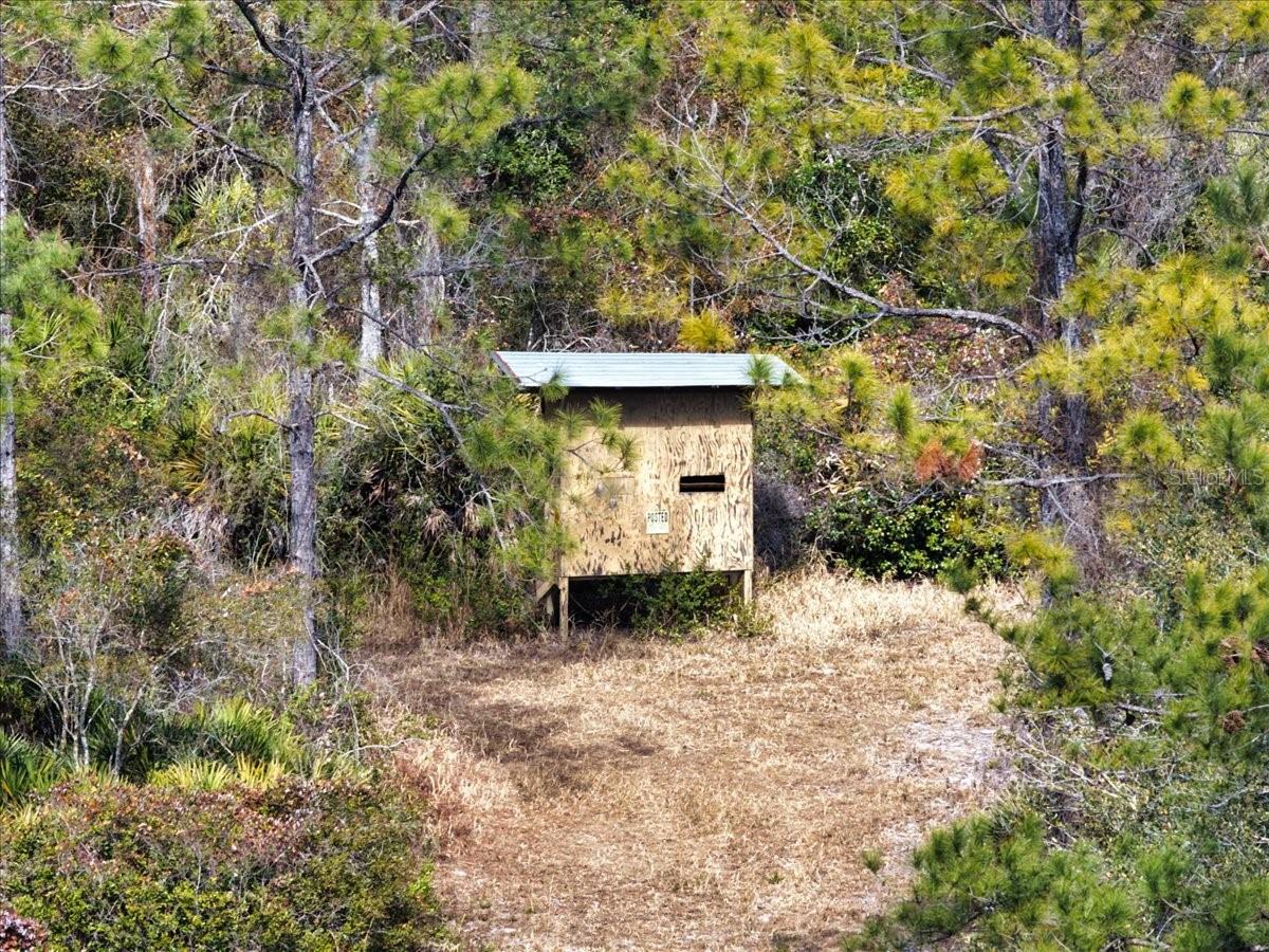 60 Acres NW CLYATT ROAD, CHIEFLAND, FL — photo 37