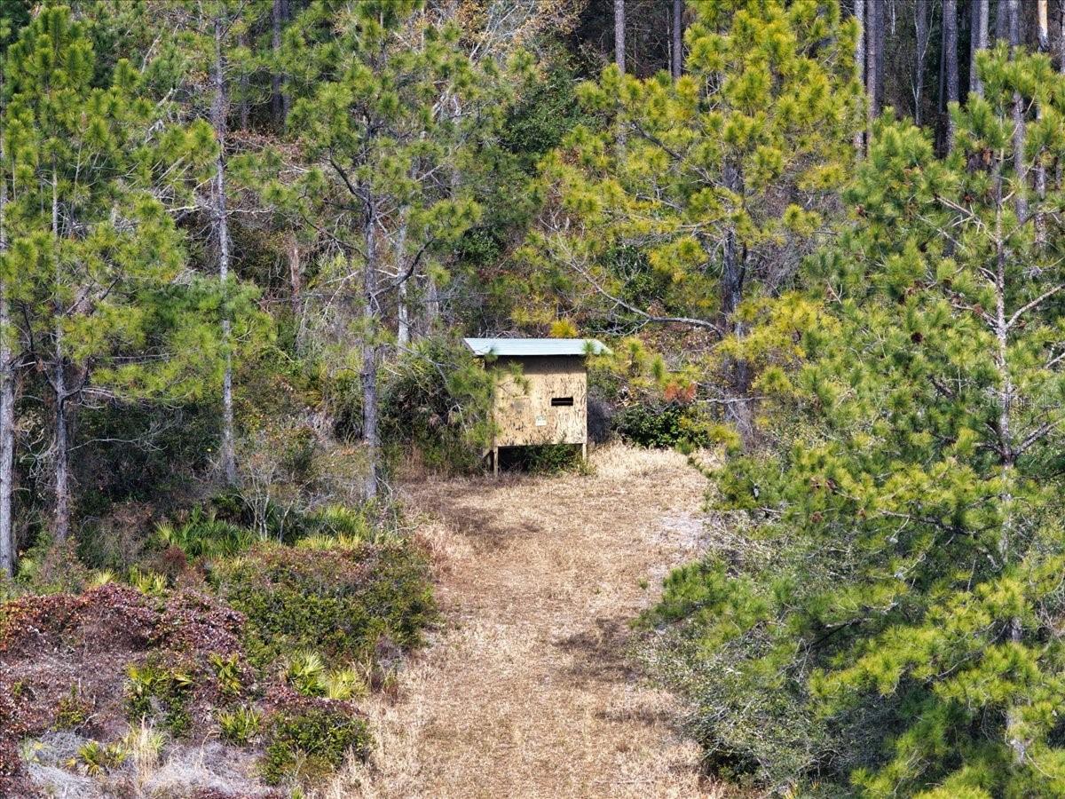 60 Acres NW CLYATT ROAD, CHIEFLAND, FL — photo 38