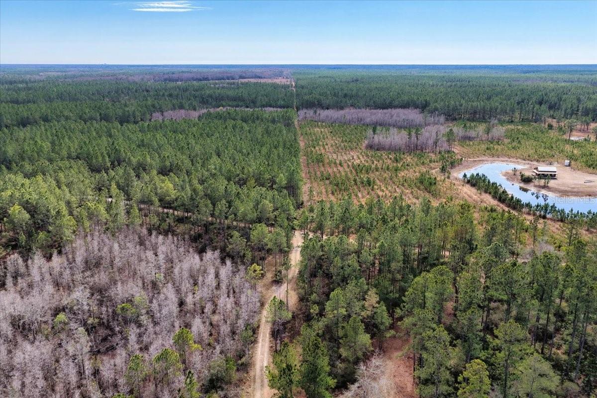 60 Acres NW CLYATT ROAD, CHIEFLAND, FL — photo 39