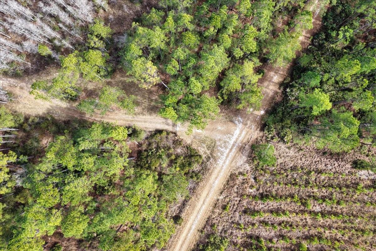60 Acres NW CLYATT ROAD, CHIEFLAND, FL — photo 40