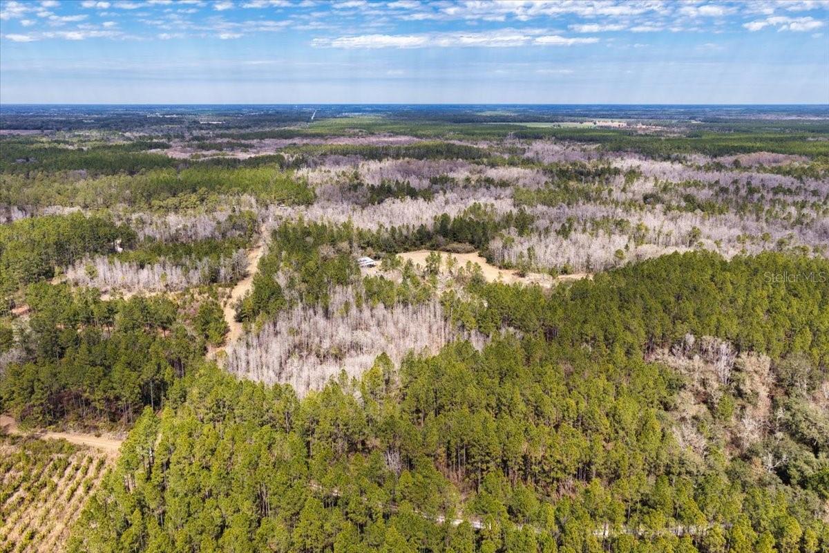 60 Acres NW CLYATT ROAD, CHIEFLAND, FL — photo 42