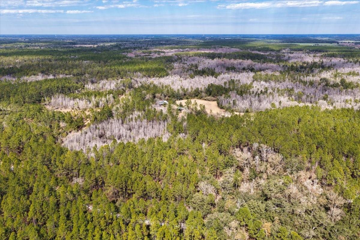 60 Acres NW CLYATT ROAD, CHIEFLAND, FL — photo 43