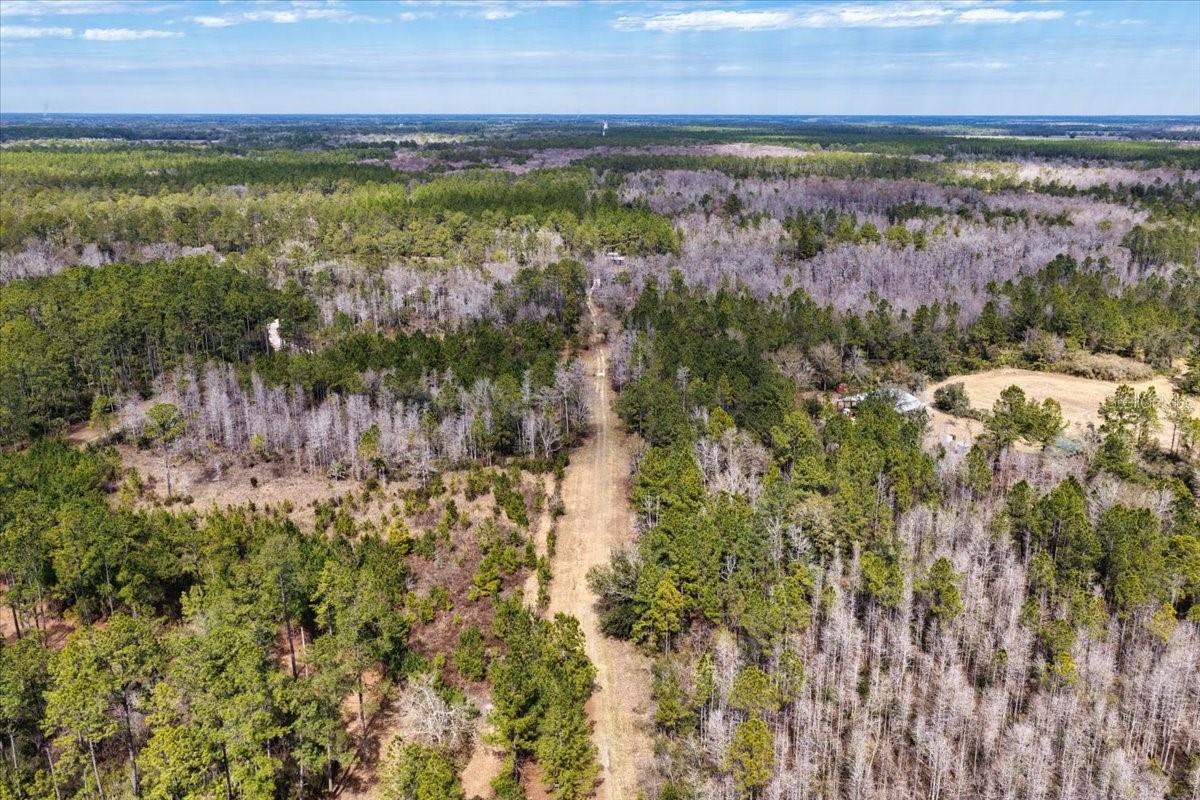60 Acres NW CLYATT ROAD, CHIEFLAND, FL — photo 44