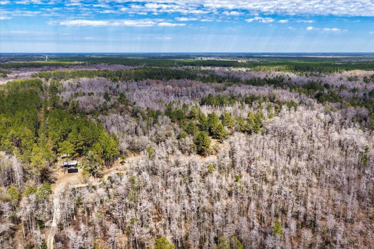 60 Acres NW CLYATT ROAD, CHIEFLAND, FL — photo 45