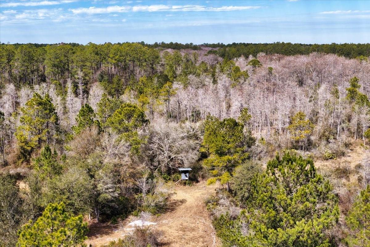 60 Acres NW CLYATT ROAD, CHIEFLAND, FL — photo 47
