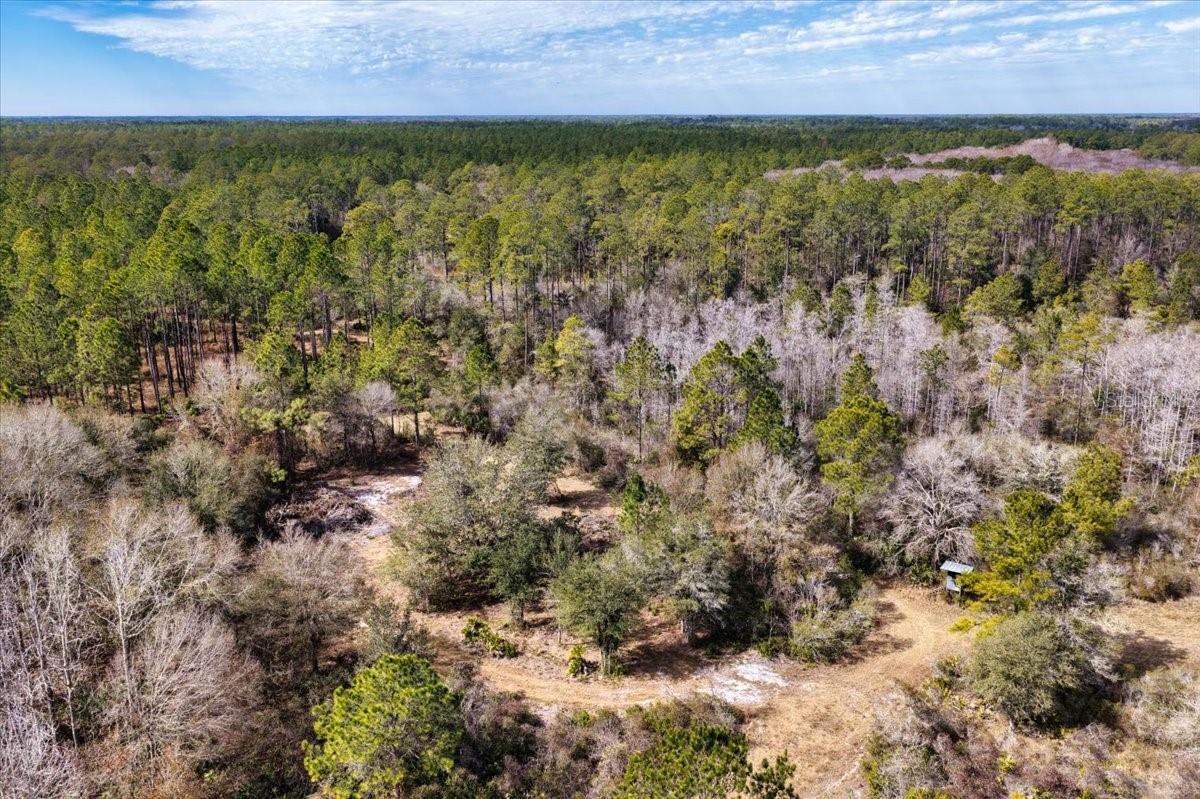 60 Acres NW CLYATT ROAD, CHIEFLAND, FL — photo 48