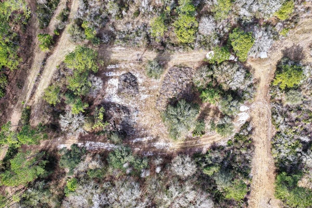 60 Acres NW CLYATT ROAD, CHIEFLAND, FL — photo 50