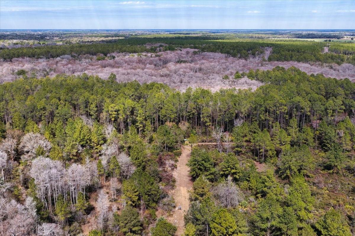 60 Acres NW CLYATT ROAD, CHIEFLAND, FL — photo 51