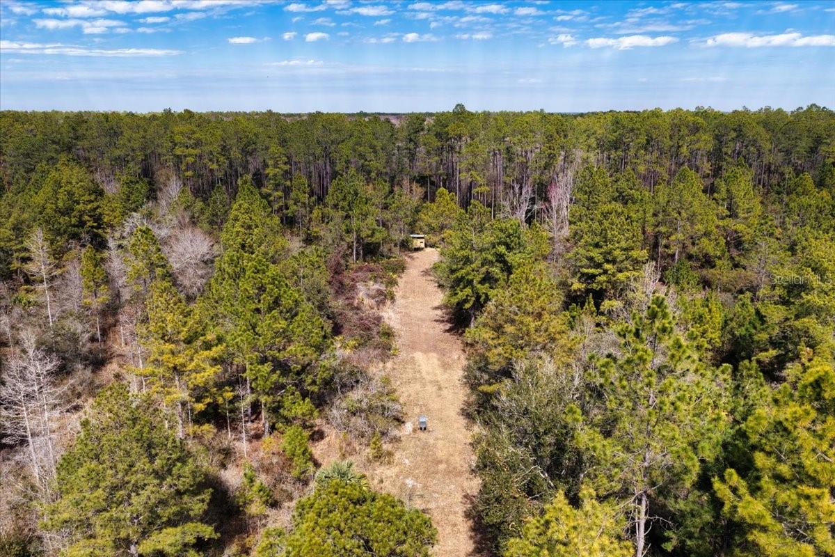 60 Acres NW CLYATT ROAD, CHIEFLAND, FL — photo 52