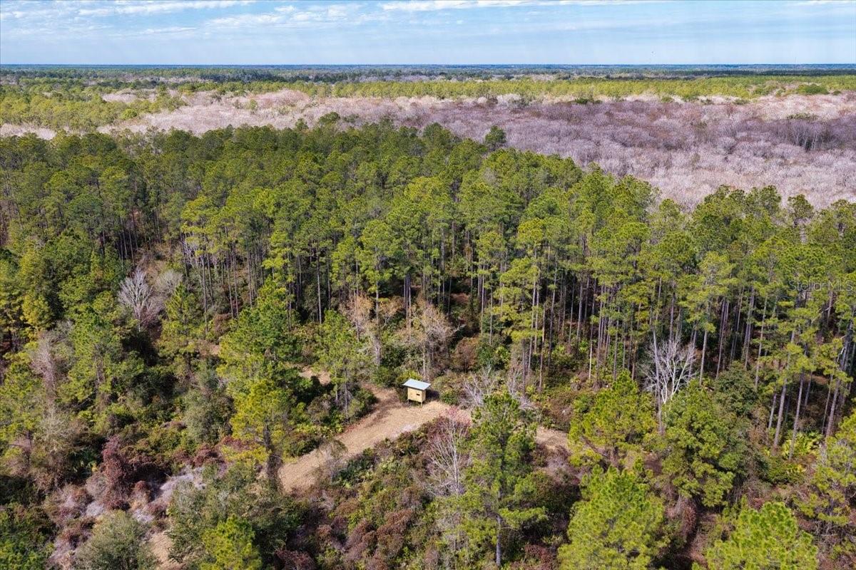 60 Acres NW CLYATT ROAD, CHIEFLAND, FL — photo 53
