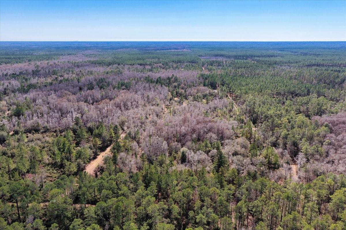 60 Acres NW CLYATT ROAD, CHIEFLAND, FL — photo 55